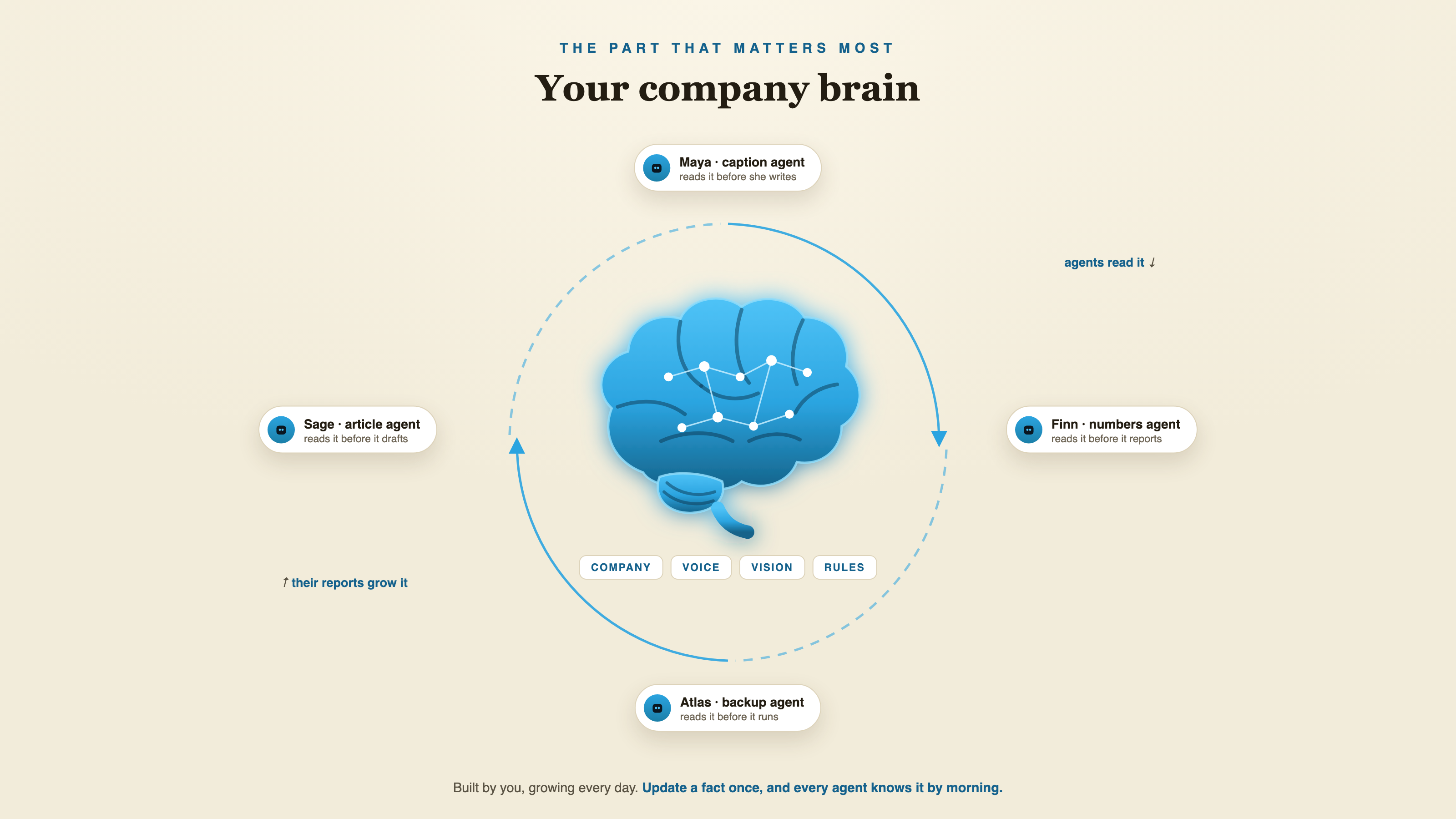 Your company brain: a glowing brain in a feedback loop with four agents around it. Agents read it before they act, and their reports grow it. Four files inside: Company, Voice, Vision, Rules.